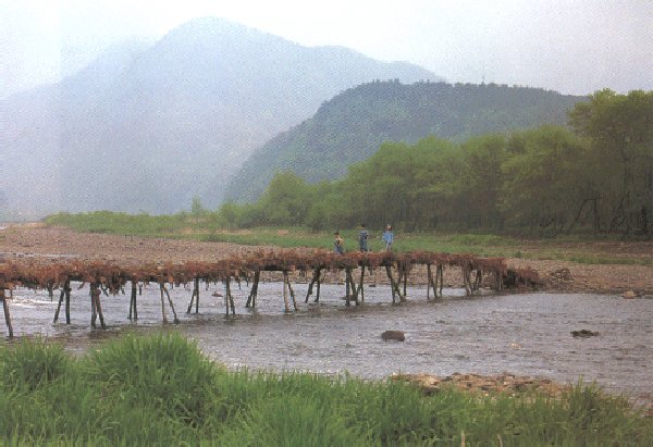 ��ſ� �ð� �Ǽ���