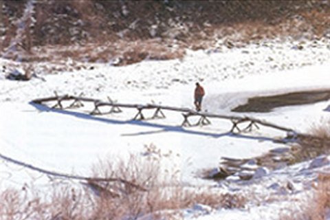 ��ſ� �ð� �Ǽ���