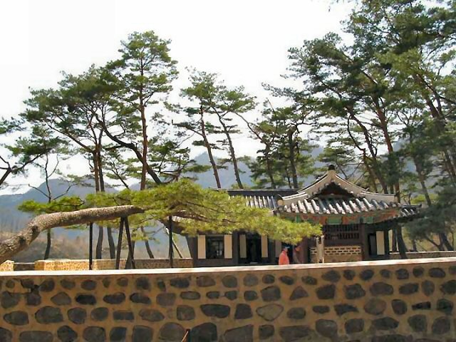 ��ſ� �ð� �Ǽ���