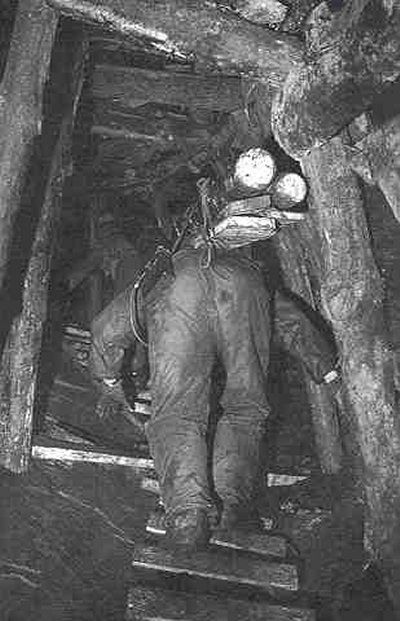 ��ſ� �ð� �Ǽ���