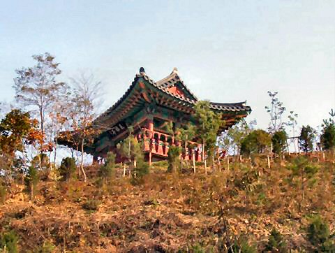 ��ſ� �ð� �Ǽ���