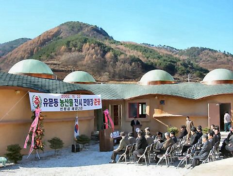 ��ſ� �ð� �Ǽ���