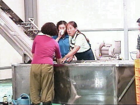 ��ſ� �ð� �Ǽ���