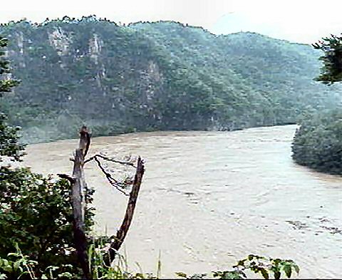 ��ſ� �ð� �Ǽ���