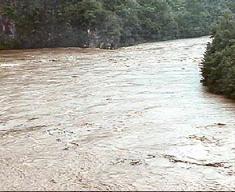 ��ſ� �ð� �Ǽ���